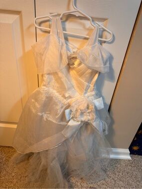 Cinderella wedding dress costume